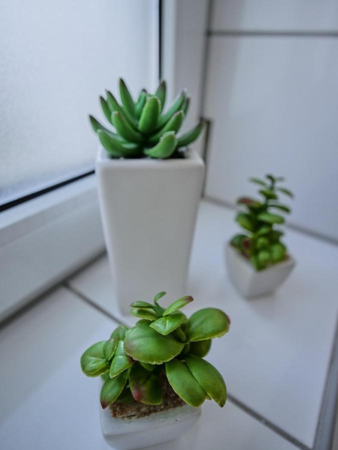 Appartement Hbf - Erfurt Bahnhof Екстериор снимка